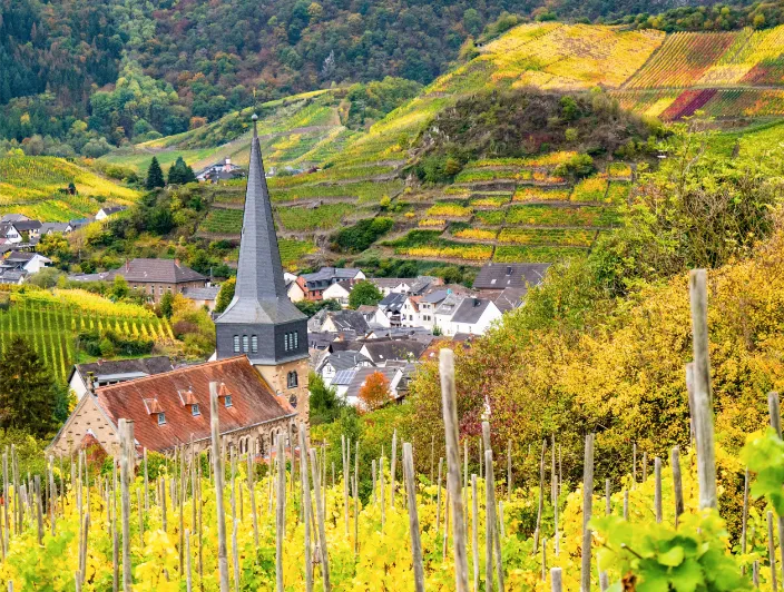 Fietsen in de omgeving van Cochem