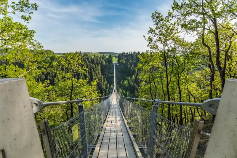Geierlay hangbrug