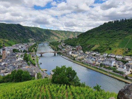 Uitzicht over Cochem en de Moezel met de brug, gezien vanaf de wijngaarden – Stadswandeling Cochem en de Reichsburg, Cochem