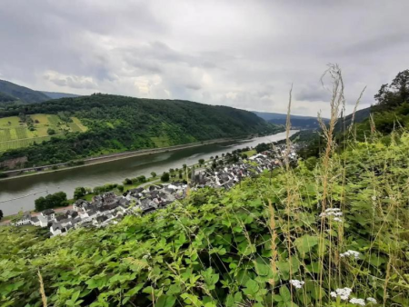Wijds uitzicht over de Moezellus met het wijnbouwschiereiland – Calmont-top vanuit Beuren, Cochem