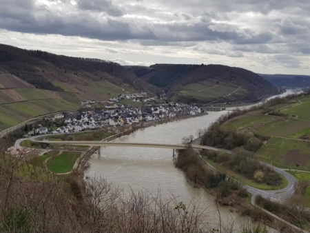 Dichtbeboste dalhellingen in het groen – Burchtruïne Winneburg vanuit Cochem, Cochem