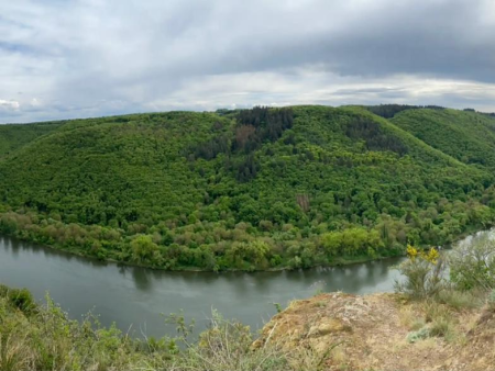 Uitzicht over de Moezel met Sankt Aldegund aan de oever, hoog gras op de voorgrond – Moselsteig-zijroute Felsen.Fässer.Fachwerk bij Sankt Aldegund, Cochem