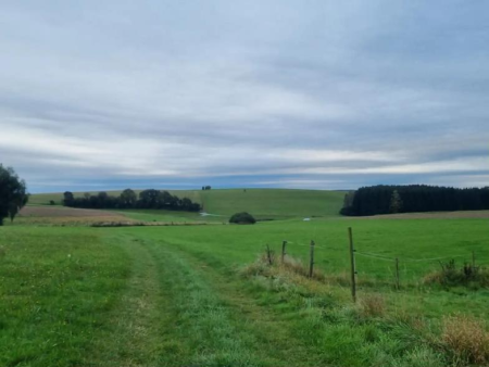 Wijde groene weide met afrasteringspalen onder een bewolkte lucht – HeimatSpur Wacholder-Endert Pfad vanuit Alflen, Cochem