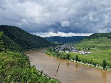 Moezelbocht met een dorp en beboste hellingen boven het bruine water – Briederner Schweiz en Beilstein vanuit Mesenich, Cochem