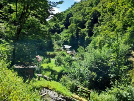 Uitzicht in het beboste Endertdal met een molen op de dalbodem – Wilde Endertdalroute en de molens, Cochem