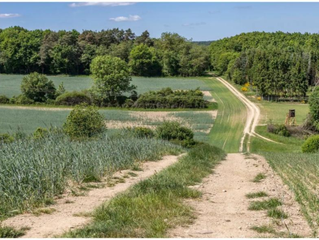Zandig veldpad tussen akkers aan de rand van het plateau – Cochemer Ritterrunde, zijroute van de Moselsteig, Cochem